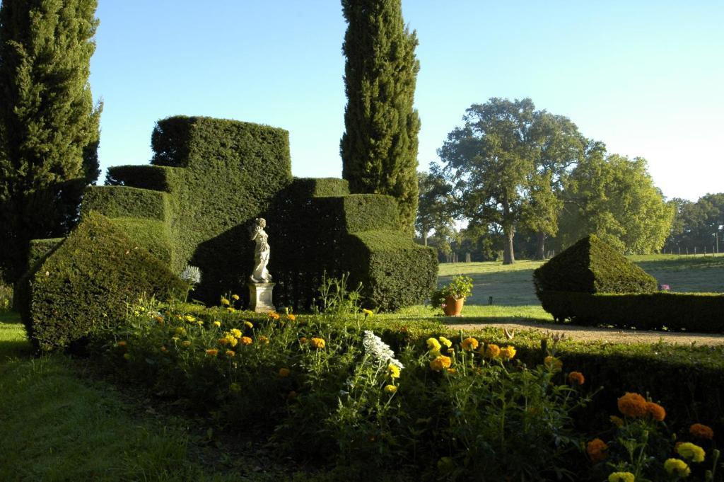 Chateau De Montriou Feneu Quarto foto